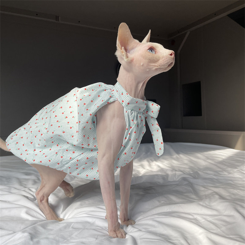 Summer Light Clothing - Katzenkleidung für den Sommer: Süßes Hellblaues