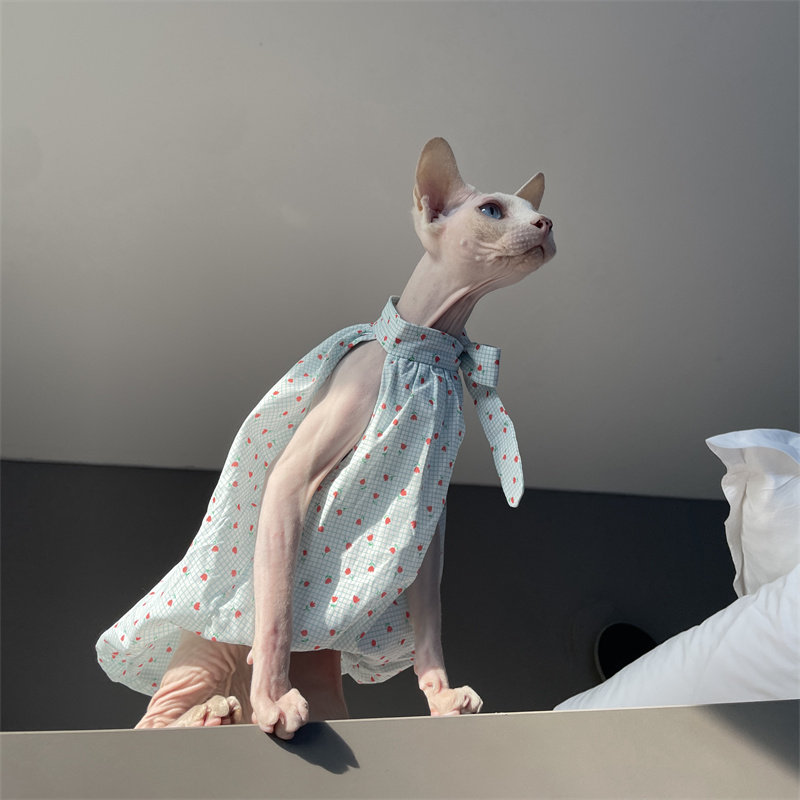 Katzenkleidung für den Sommer: – Summer Light Clothing Bewertung und Preis