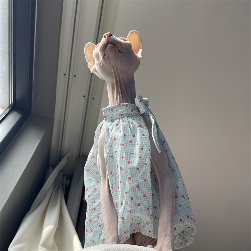 Katzenkleidung für den Sommer: – Summer Light Clothing Bewertung und Preis